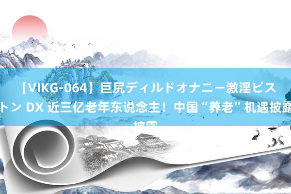 【VIKG-064】巨尻ディルドオナニー激淫ピストン DX 近三亿老年东说念主！中国“养老”机遇披露