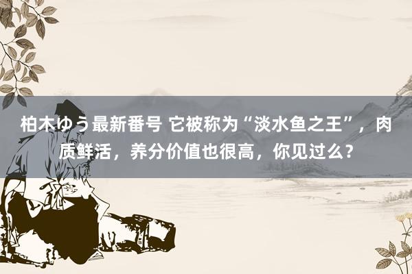 柏木ゆう最新番号 它被称为“淡水鱼之王”，肉质鲜活，养分价值也很高，你见过么？