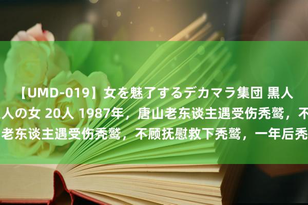 【UMD-019】女を魅了するデカマラ集団 黒人ナンパ エロくてイイ大人の女 20人 1987年，唐山老东谈主遇受伤秃鹫，不顾抚慰救下秃鹫，一年后秃鹫答谢