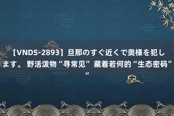 【VNDS-2893】旦那のすぐ近くで奥様を犯します。 野活泼物“寻常见” 藏着若何的“生态密码”