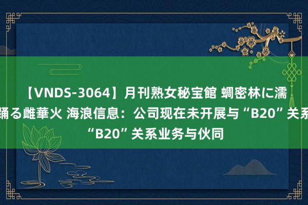 【VNDS-3064】月刊熟女秘宝館 蜩密林に濡れて淫らに踊る雌華火 海浪信息：公司现在未开展与“B20”关系业务与伙同