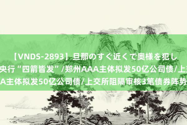 【VNDS-2893】旦那のすぐ近くで奥様を犯します。 【立方债市通】央行“四箭皆发”/郑州AAA主体拟发50亿公司债/上交所阻隔审核3笔债券阵势