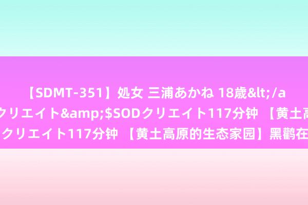 【SDMT-351】処女 三浦あかね 18歳</a>2011-02-05SODクリエイト&$SODクリエイト117分钟 【黄土高原的生态家园】黑鹳在甘泉