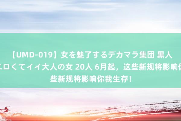 【UMD-019】女を魅了するデカマラ集団 黒人ナンパ エロくてイイ大人の女 20人 6月起，这些新规将影响你我生存！