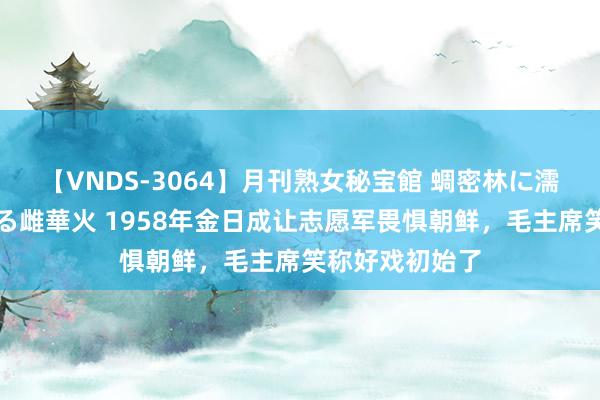 【VNDS-3064】月刊熟女秘宝館 蜩密林に濡れて淫らに踊る雌華火 1958年金日成让志愿军畏惧朝鲜，毛主席笑称好戏初始了