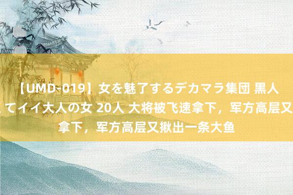 【UMD-019】女を魅了するデカマラ集団 黒人ナンパ エロくてイイ大人の女 20人 大将被飞速拿下，军方高层又揪出一条大鱼