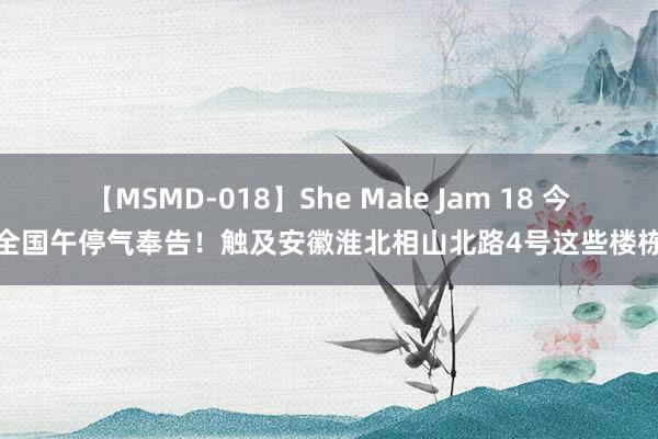 【MSMD-018】She Male Jam 18 今全国午停气奉告！触及安徽淮北相山北路4号这些楼栋