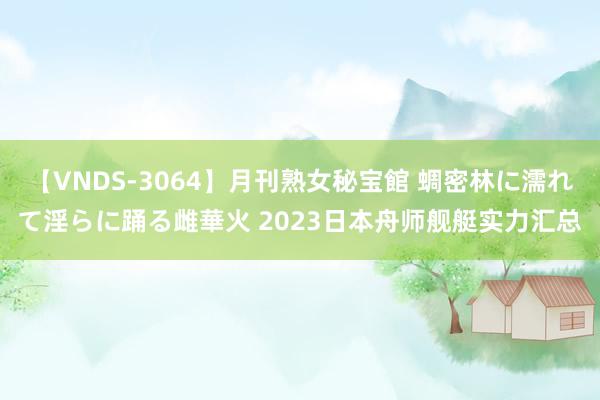 【VNDS-3064】月刊熟女秘宝館 蜩密林に濡れて淫らに踊る雌華火 2023日本舟师舰艇实力汇总