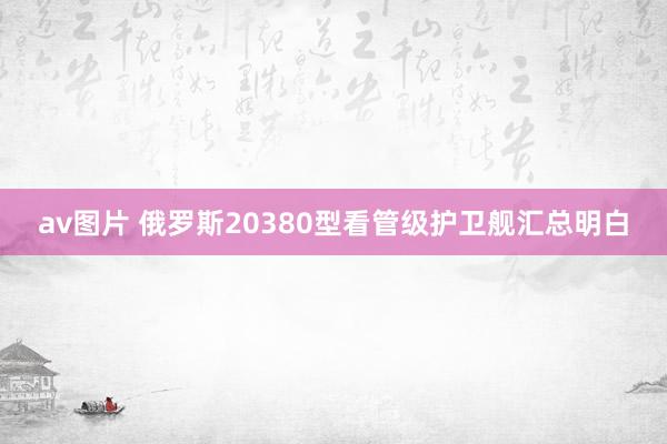 av图片 俄罗斯20380型看管级护卫舰汇总明白