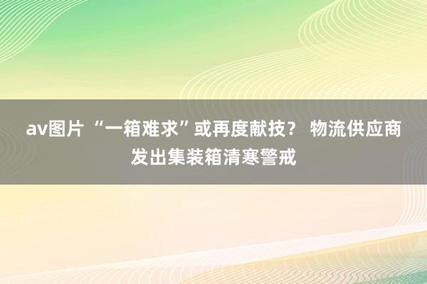 av图片 “一箱难求”或再度献技？ 物流供应商发出集装箱清寒警戒