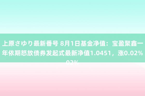 上原さゆり最新番号 8月1日基金净值：宝盈聚鑫一年依期怒放债券发起式最新净值1.0451，涨0.02%