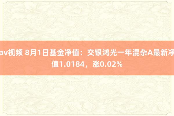 av视频 8月1日基金净值：交银鸿光一年混杂A最新净值1.0184，涨0.02%