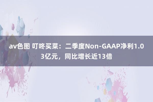 av色图 叮咚买菜：二季度Non-GAAP净利1.03亿元，同比增长近13倍