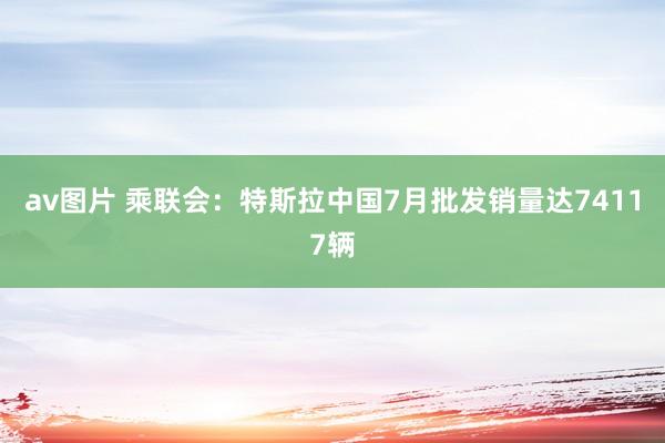 av图片 乘联会：特斯拉中国7月批发销量达74117辆