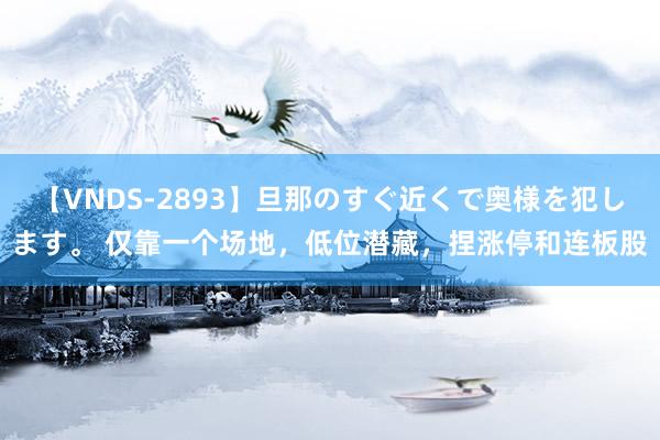 【VNDS-2893】旦那のすぐ近くで奥様を犯します。 仅靠一个场地，低位潜藏，捏涨停和连板股