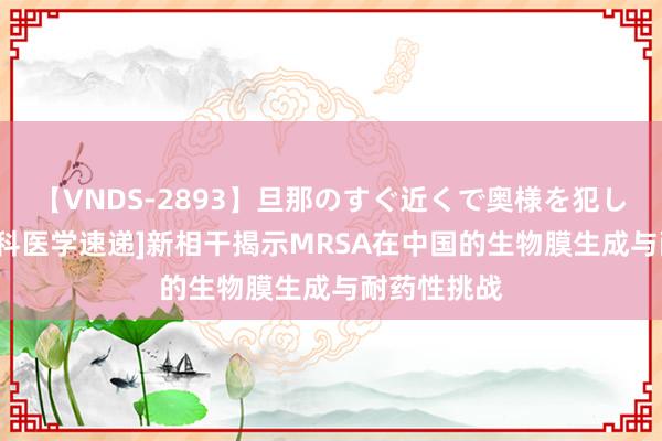 【VNDS-2893】旦那のすぐ近くで奥様を犯します。 [盟科医学速递]新相干揭示MRSA在中国的生物膜生成与耐药性挑战