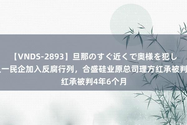 【VNDS-2893】旦那のすぐ近くで奥様を犯します。 又一民企加入反腐行列，合盛硅业原总司理方红承被判4年6个月