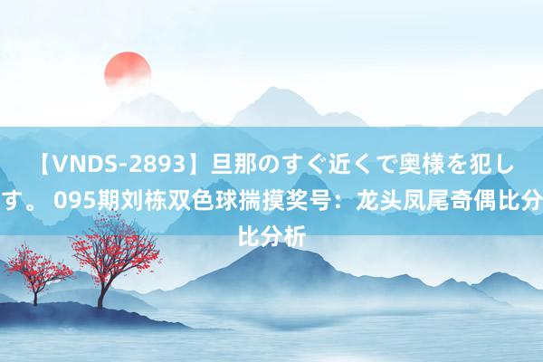 【VNDS-2893】旦那のすぐ近くで奥様を犯します。 095期刘栋双色球揣摸奖号：龙头凤尾奇偶比分析