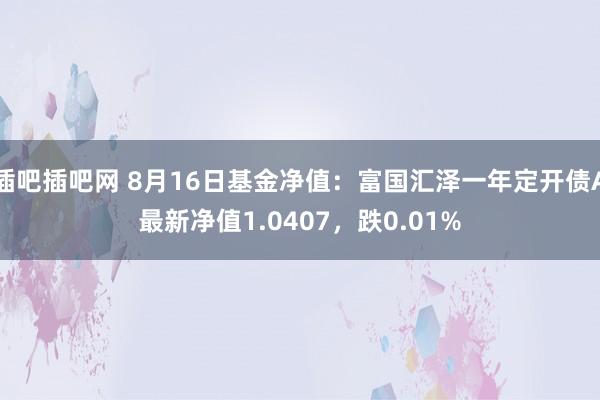 插吧插吧网 8月16日基金净值：富国汇泽一年定开债A最新净值1.0407，跌0.01%