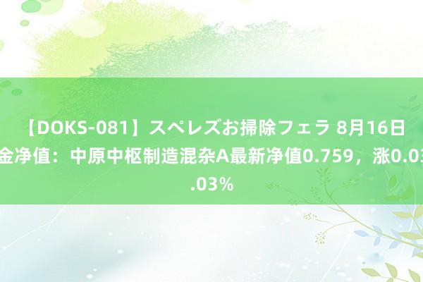 【DOKS-081】スペレズお掃除フェラ 8月16日基金净值：中原中枢制造混杂A最新净值0.759，涨0.03%