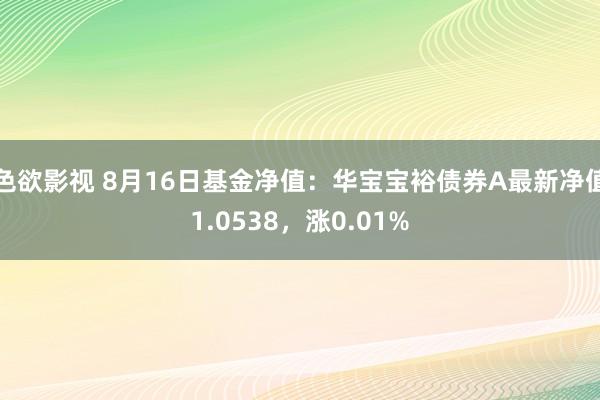 色欲影视 8月16日基金净值：华宝宝裕债券A最新净值1.0538，涨0.01%