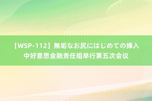 【WSP-112】無垢なお尻にはじめての挿入 中好意思金融责任组举行第五次会议