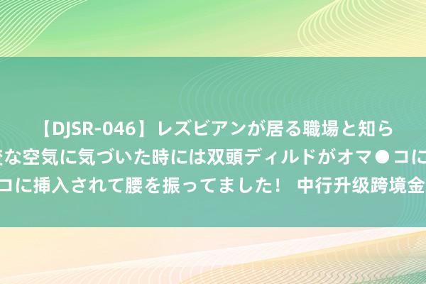 【DJSR-046】レズビアンが居る職場と知らずに来た私（ノンケ） 変な空気に気づいた時には双頭ディルドがオマ●コに挿入されて腰を振ってました！ 中行升级跨境金融干事护航企业“出海”