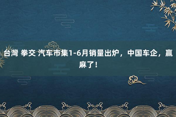 台灣 拳交 汽车市集1-6月销量出炉，中国车企，赢麻了！