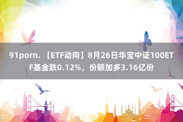 91porn. 【ETF动向】8月26日华宝中证100ETF基金跌0.12%，份额加多3.16亿份