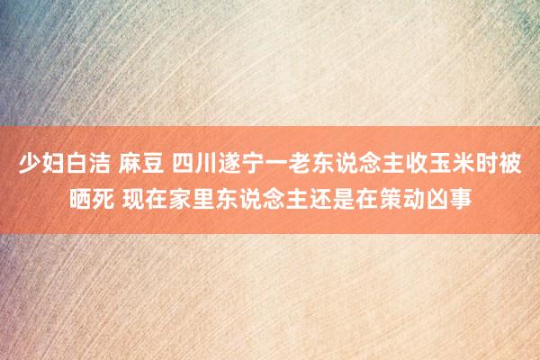 少妇白洁 麻豆 四川遂宁一老东说念主收玉米时被晒死 现在家里东说念主还是在策动凶事