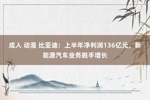 成人 动漫 比亚迪：上半年净利润136亿元，新能源汽车业务脱手增长