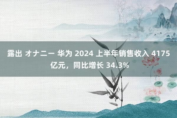 露出 オナニー 华为 2024 上半年销售收入 4175 亿元，同比增长 34.3%