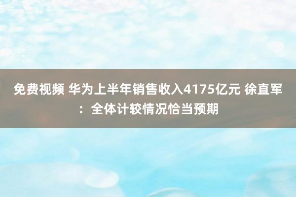 免费视频 华为上半年销售收入4175亿元 徐直军：全体计较情况恰当预期