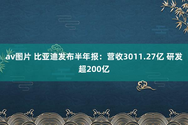 av图片 比亚迪发布半年报：营收3011.27亿 研发超200亿