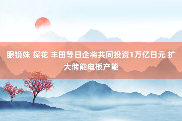 眼镜妹 探花 丰田等日企将共同投资1万亿日元 扩大储能电板产能