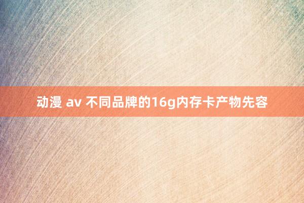 动漫 av 不同品牌的16g内存卡产物先容