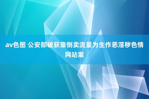 av色图 公安部破获靠倒卖流量为生作恶淫秽色情网站案