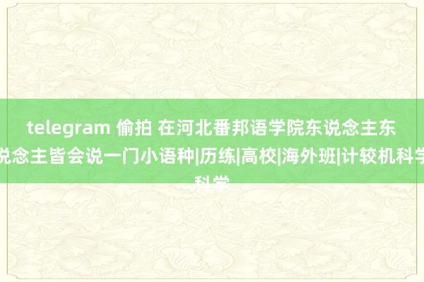 telegram 偷拍 在河北番邦语学院东说念主东说念主皆会说一门小语种|历练|高校|海外班|计较机科学