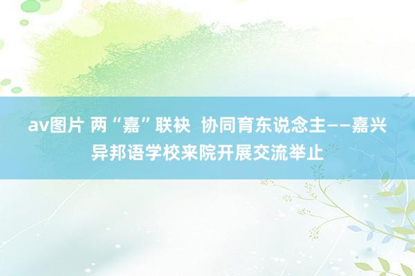 av图片 两“嘉”联袂  协同育东说念主——嘉兴异邦语学校来院开展交流举止