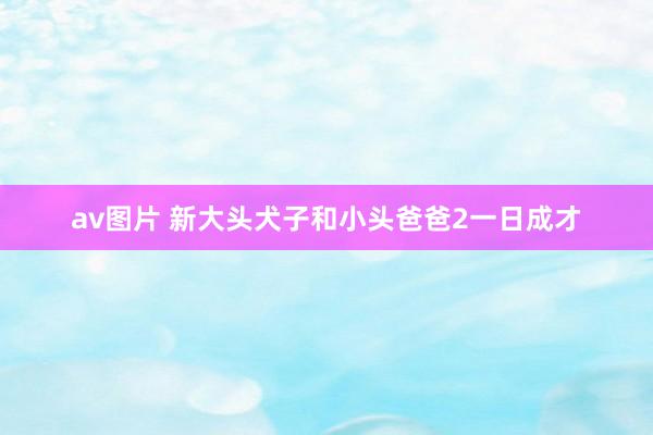 av图片 新大头犬子和小头爸爸2一日成才