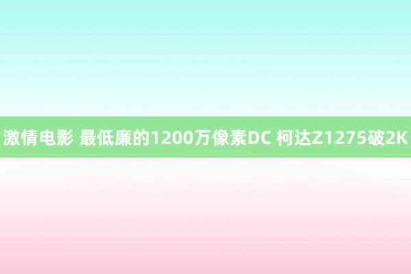 激情电影 最低廉的1200万像素DC 柯达Z1275破2K