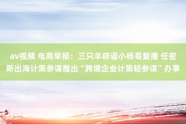 av视频 电商早报：三只羊辟谣小杨哥复播 任密斯出海计策参谋推出“跨境企业计策轻参谋”办事