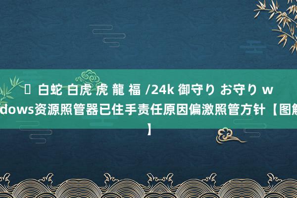 ✨白蛇 白虎 虎 龍 福 /24k 御守り お守り windows资源照管器已住手责任原因偏激照管方针【图解】