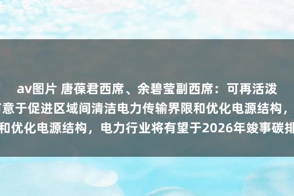 av图片 唐葆君西席、余碧莹副西席：可再活泼力投资老本快速下落有意于促进区域间清洁电力传输界限和优化电源结构，电力行业将有望于2026年竣事碳排放峰值